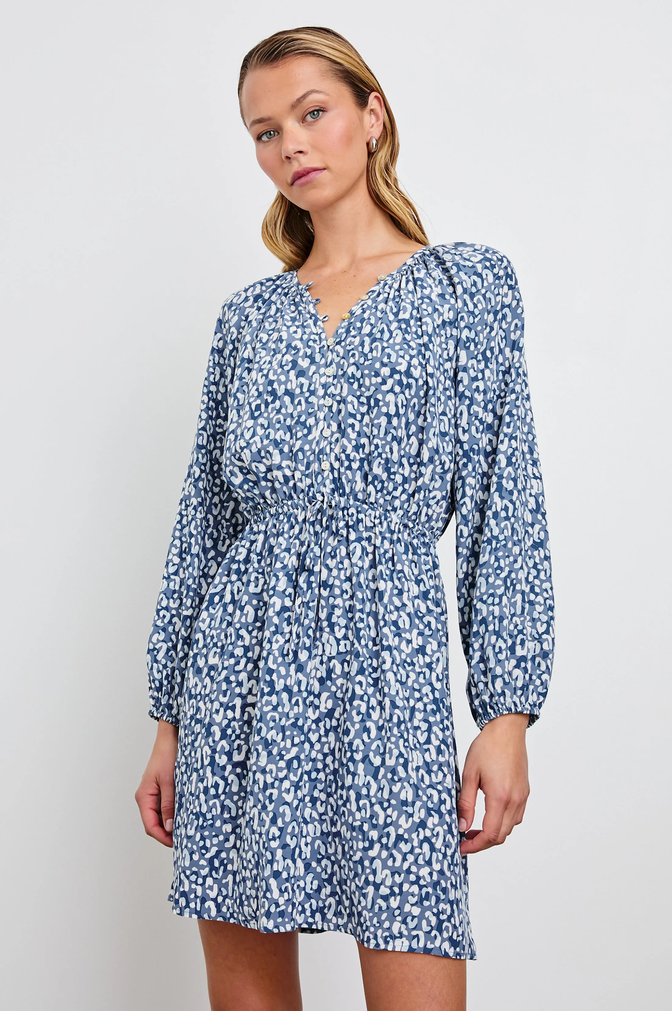 LINNEA DRESS - BLUE MIXED CHEETAH Rails