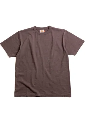 Sunray Haleiwa Short Sleeve T-Shirt in Raisin