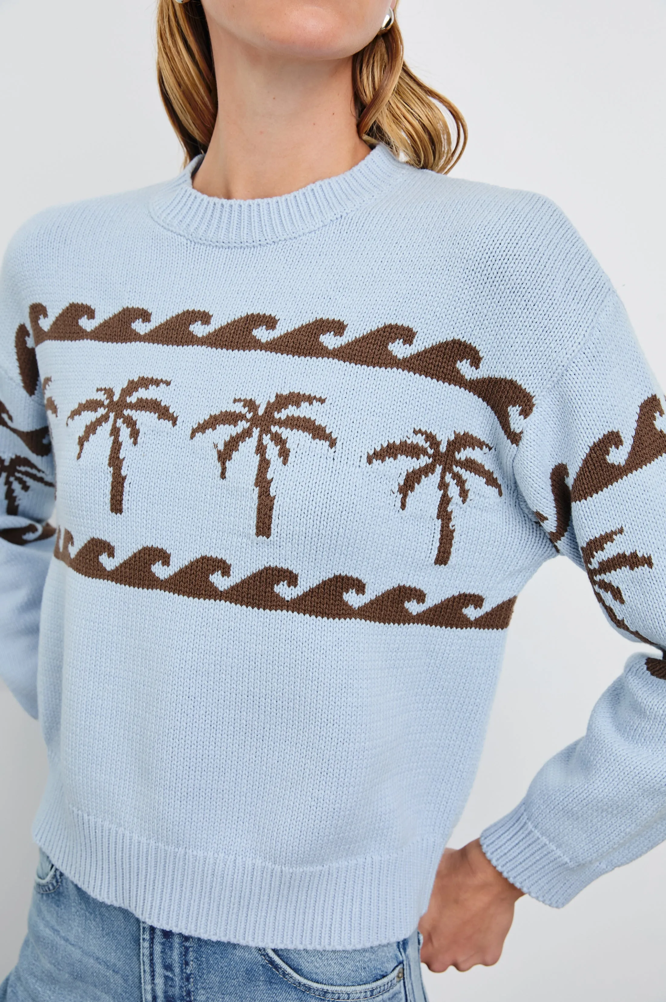 ZOEY SWEATER - PALM STRIPE Rails